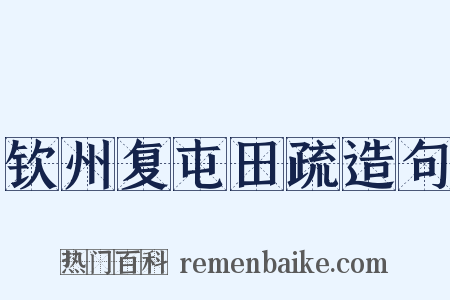 钦州复屯田疏造句是什么意思的图片